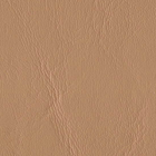 Ezy Commercial vinyl Fabric by Spradling International for General Upholstery, auto, or home applications