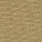 Silvertex Neo CHAMPAGNE - STX-8808