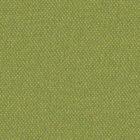 Silvertex Neo CELERY - STX-8819