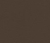 Nuance Coffee Bean - NUA-2470