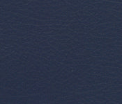 Nuance Navy - NUA-2459