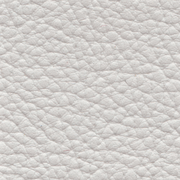 Beluga Haze, BEL-3319