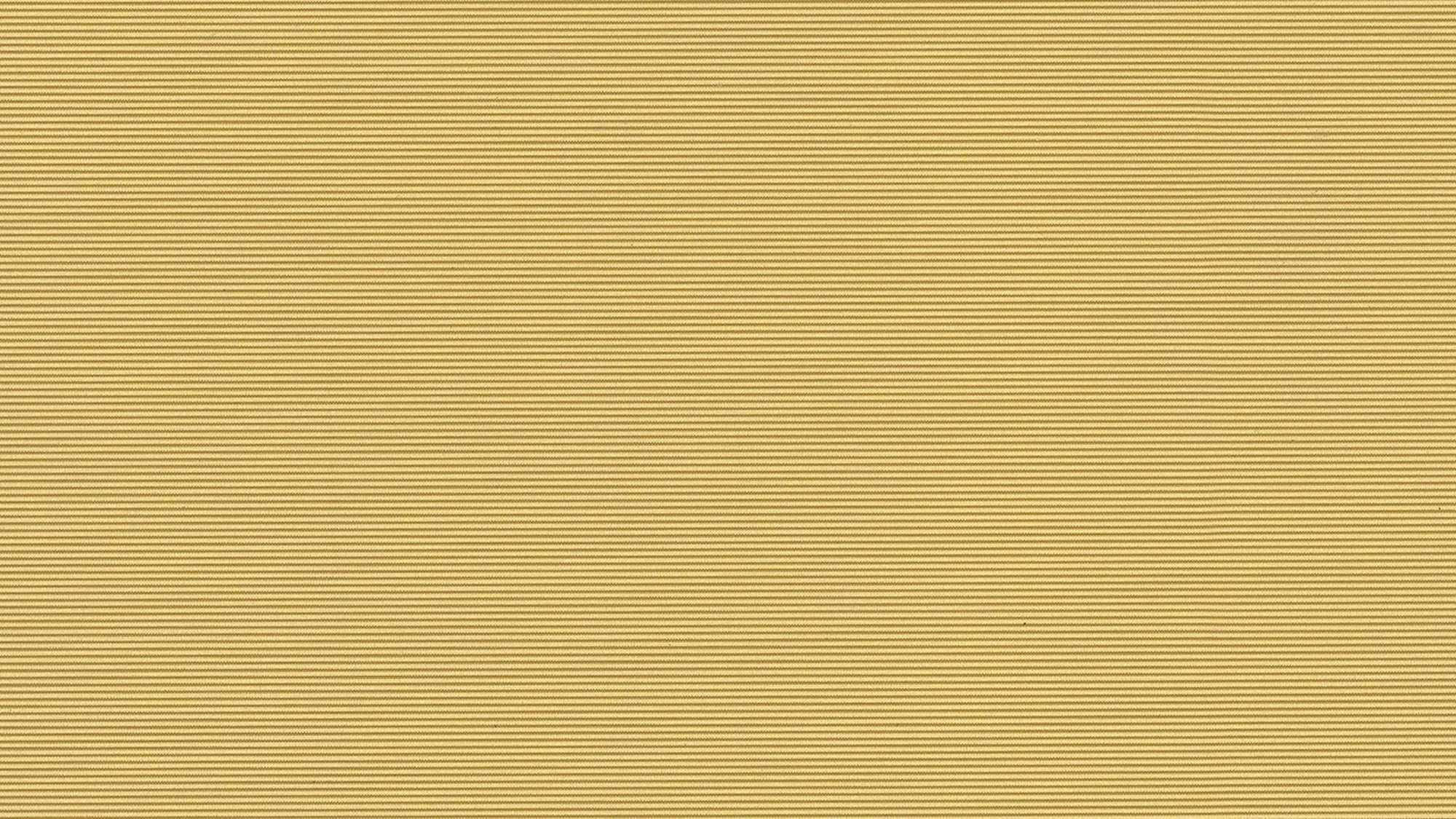 Edgeline Mustard EDG-1867