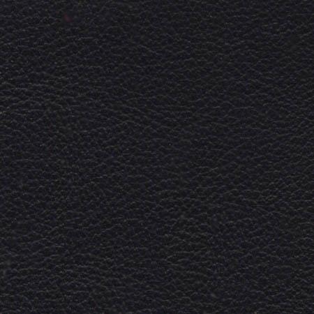 Caprone Fine Furniture Leather- Raven - rgvtex.com