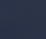 Nuance Navy -  NUA-2459