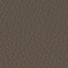 Sutton Taupe