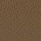 Sutton Sandstone