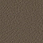 Sutton Med Khaki